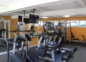 Thumbnail 18 of 31 - a room filled with lots of cardio equipment and weights