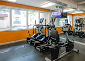 Thumbnail 26 of 36 - A gym with orange walls and a row of stationary bikes.