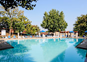 Thumbnail 27 of 36 - A large swimming pool surrounded by trees and lounge chairs.