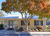 Thumbnail 14 of 17 - A yellow house with a tree in front of it.