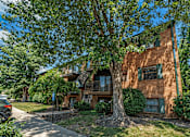 Thumbnail 32 of 32 - A tree in front of a brown building with green shutters.
