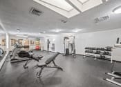 Thumbnail 17 of 25 - Apartment Fitness Center with Free Weights