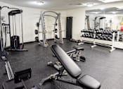 Thumbnail 24 of 32 - A gym with a variety of equipment including weights and a bench.