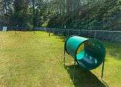 Thumbnail 15 of 17 - apartment with dog park