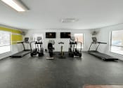 Thumbnail 23 of 31 - cardio equipment at Eastland