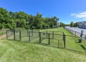 Thumbnail 17 of 28 - pet friendly apartments with dog park