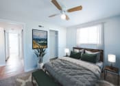 Thumbnail 17 of 28 - Bedroom with light and overhead fan