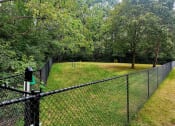 Thumbnail 15 of 30 - a chain link fence around a field with trees