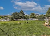 Thumbnail 19 of 20 - dog park at fox hill apartments