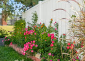 Thumbnail 16 of 24 - a flower garden in front of a white fence