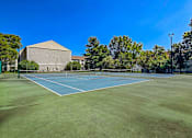 Thumbnail 25 of 27 - A tennis court with a blue surface and white lines, surrounded by green grass and trees under a clear blue sky.