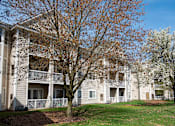 Thumbnail 23 of 26 - Apartment building with a tree in front of it.