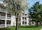 Thumbnail 24 of 26 - A tree with white blossoms stands in front of a building with balconies.