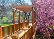 Thumbnail 13 of 16 - wooden bridge with a flowering tree at apartment community