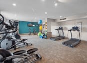 Thumbnail 16 of 21 - icon Apartments fitness center