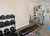 Thumbnail 18 of 26 - A gym with a bench, dumbbells, and a leg press machine.