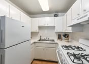 Thumbnail 8 of 25 - apartment kitchen with gas range