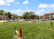 Thumbnail 14 of 16 - enclosed dog park at pet friendly apartment community