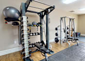 Thumbnail 18 of 30 - A home gym with a squat rack, dumbbells, and a bench.