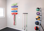 Thumbnail 18 of 25 - A wall of exercise equipment including a rowing machine, a wall mounted pull up bar, and a row of resistance bands.