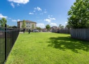 Thumbnail 15 of 34 - pet friendly apartments with dog park