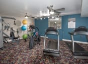 Thumbnail 8 of 23 - a gym with exercise equipment and a ceiling fan
