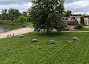 Thumbnail 23 of 32 - A tree stands in a grassy field with picnic tables and a lake in the background.