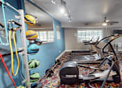 Thumbnail 13 of 32 - A gym with a Predator treadmill and exercise balls.