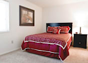 Thumbnail 5 of 10 - Primary Apartment Bedroom with Window