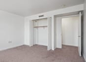Thumbnail 14 of 29 - bedroom with a closet and carpet