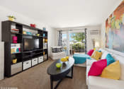 Thumbnail 3 of 15 - apartment living room with a couch and a tv