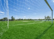 Thumbnail 15 of 15 - a soccer goal on a field with green grass