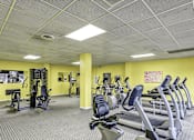 Thumbnail 19 of 24 - A gym with treadmills, weights and other exercise equipment.