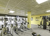 Thumbnail 18 of 24 - A gym with treadmills, elliptical machines, and weights.