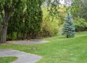 Thumbnail 18 of 18 - a picnic area in a park with a bench