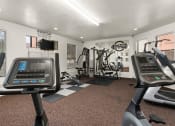 Thumbnail 11 of 18 - our apartments have a gym with plenty of equipment