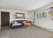 Thumbnail 1 of 12 - apartment living room with a purple couch
