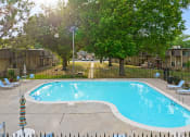 Thumbnail 20 of 29 - a swimming pool with chairs around it and trees