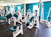 Thumbnail 11 of 18 - A gym with blue walls and a variety of equipment.