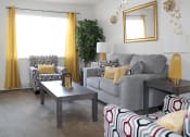 Thumbnail 1 of 12 - apartment living room with a couch
