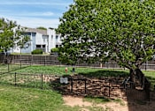Thumbnail 22 of 35 - A tree in a yard with a mailbox on a fence.