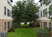 Thumbnail 33 of 35 - A tree in the middle of a grassy courtyard between two buildings.