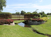 Thumbnail 22 of 26 - Beautiful Landscaping at River Chase