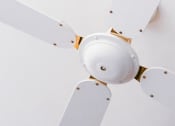 Thumbnail 14 of 19 - Ceiling Fan in Each Apartment