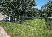 Thumbnail 22 of 29 - two dogs in a fenced in area behind a chain link fence