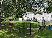 Thumbnail 20 of 39 - A black fence surrounds a green lawn with a blue bench and a red barrel.