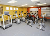 Thumbnail 8 of 14 - A gym with treadmills, exercise bikes, and elliptical machines.