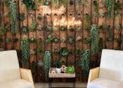 Thumbnail 10 of 30 - this must be the place neon wedding sign against a wooden wall with succulent plants