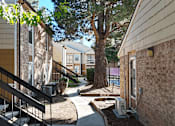 Thumbnail 17 of 30 - A tree in a courtyard between two buildings.