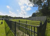 Thumbnail 17 of 22 - apartment with dog park